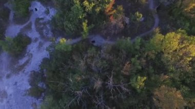 Güzel dağ manzarası ile yeşil ağaç orman, şaşırtıcı doğa kaplı. Vurdu. Güneş ışığı ile gündüz yaz gününde, açık. Serenity arka plan