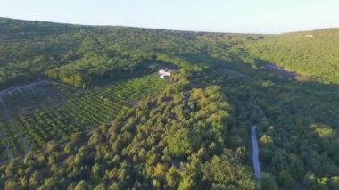 Yalnız ev ormanın içinde. Vurdu. Orman bir ülkede evde üstten görünüm