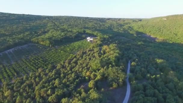 Eenzame huis in het bos. Schot. Bovenaanzicht van een landhuis in bos — Stockvideo