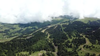 Sabah erken havadan görünümü vadide görünümünü. Vadide çam ağacı ormanda dağ silsilesi ile uçan hava görünümünü dron