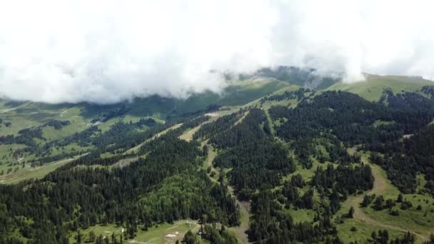 早朝空撮でバレーの風景。山の範囲で松の木の森と谷に飛んで空撮ドローン — ストック動画