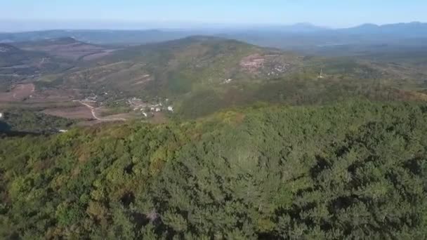 Blick auf das Tal in den frühen Morgenstunden aus der Luft. Schuss. Drohne fliegt im Tal mit Kiefernwald im Gebirge — Stockvideo