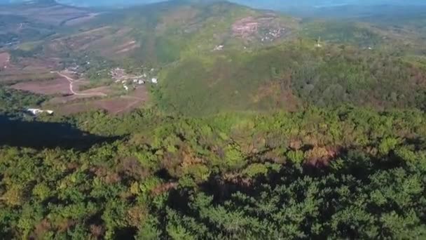 Blick auf das Tal in den frühen Morgenstunden aus der Luft. Schuss. Drohne fliegt im Tal mit Kiefernwald im Gebirge — Stockvideo