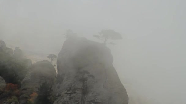 Mlha v horách. Střela. Mlha v horách a oblačné počasí. Nízké mraky a mlha na hoře — Stock video