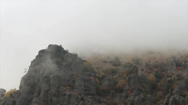 비가 회색 불길 한 구름 산입니다. 총. 흐린 날씨에 산에 낮은 구름 — 비디오