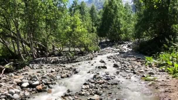 Río frío de montaña con arroyo furioso. Vista del río furioso en el bosque — Vídeo de stock