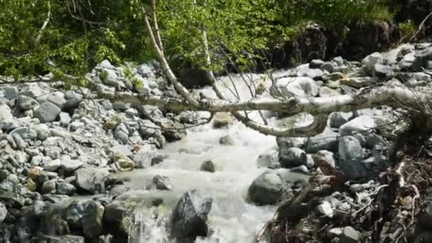 Kalter Gebirgsfluss mit reißendem Strom. Blick auf den reißenden Fluss im Wald — Stockvideo