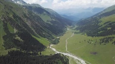 Ağaçları ile güzel yeşil dağ manzarası. Highlands dağda ormanın üstten görünüm