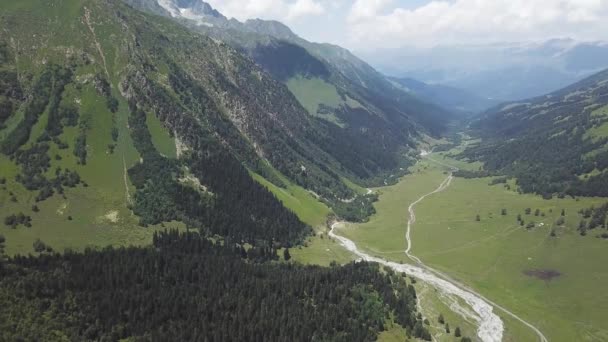 Schöne grüne Berglandschaft mit Bäumen. Blick von oben auf den Wald am Berg im Hochland — Stockvideo