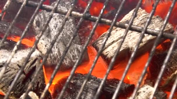 在烧烤烧烤坑发光的热燃烧木炭的看法 烧煤煮烧烤食品 — 图库视频影像