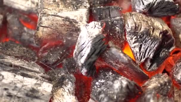 Brillante carbón caliente en barbacoa parrilla con llamas, Primer plano. Carbón ardiendo de cerca — Vídeo de stock