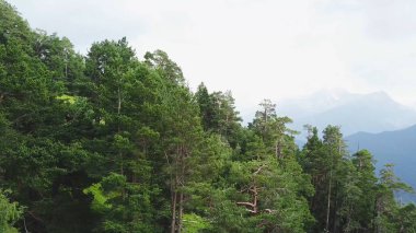 Ağaçları ile güzel yeşil dağ manzarası. Highlands dağda ormanın üstten görünüm