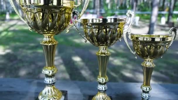 Three winner cups of the frist second and the third place in the podium, outdoor. Clip. Trophies — Stock Video