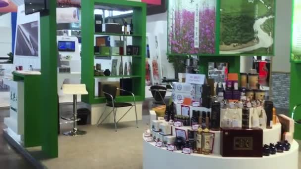 Shanghai Giugno 2018 Expo China Pavilion China Homelife Show China — Video Stock