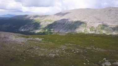 Parçacıklar soyut hareket arka plan moleküler ağa bağlı gezegeni. Küçük. Güzel animasyon uçan parlak parıltı titreşen parçacıklar bir siyah arka plan Alfa kanalında