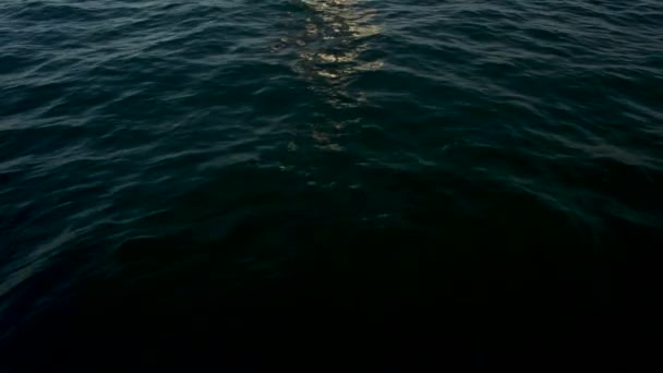 Mer avec vagues et ciel clair calme surface de l'eau de l'océan avec de petites ondulations. fond abstrait d'eau de mer bleu vif vague. Surface d'eau bleue. Mer bleue avec vagues — Video