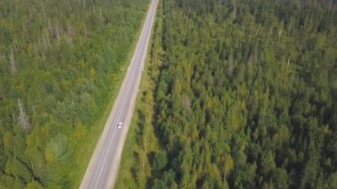 Ormandaki ülke yolda araba beyaz araba hava görünümünü. Küçük. Bir orman yolda araba araba güzel üstten görünüm