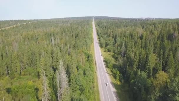 Vue aérienne de la plaine forestière et de la voiture qui roulent sur l'autoroute. Clip. Vue du dessus de la voiture à cheval sur la route forestière 