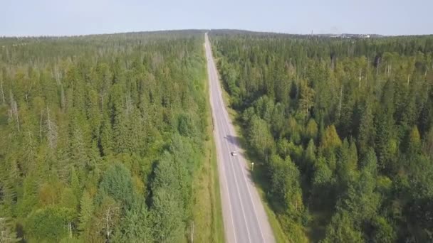 Bovenaanzicht schilderachtige kronkelende landweg via groene landbouwgrond. Clip. Luchtfoto landelijke weg platteland, blauwe hemel — Stockvideo