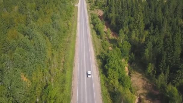 Bovenaanzicht schilderachtige kronkelende landweg via groene landbouwgrond. Clip. Luchtfoto landelijke weg platteland — Stockvideo