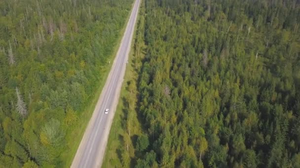 Vue aérienne de la voiture blanche conduisant sur la route de campagne en forêt. Clip. Belle vue de dessus de la voiture conduisant sur une route forestière 