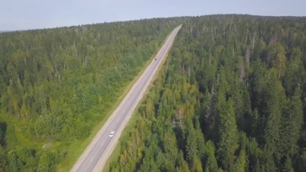 Vue aérienne de la voiture blanche conduisant sur la route de campagne en forêt. Clip. Belle vue de dessus de la voiture conduisant sur une route forestière 