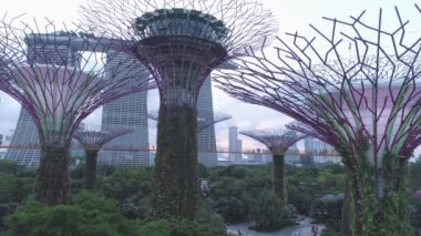 Havadan görünümü süper ağaç koy ve Marina Bay Sands Singapur bahçelerle koruda. Vurdu. Singapur parkının üstten görünüm