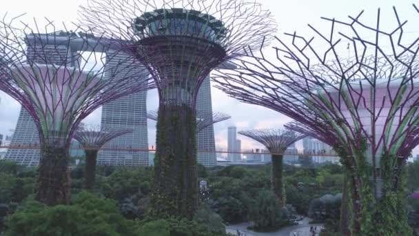 Пташиного польоту супер гаї в саду біля затоки і Marina Bay Sands в Сінгапурі. Постріл. Вид зверху парку в Сінгапурі — стокове відео
