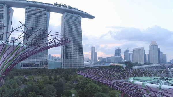 Пташиного польоту супер гаї в саду біля затоки і Marina Bay Sands в Сінгапурі. Постріл. Вид зверху парку в Сінгапурі — стокове фото