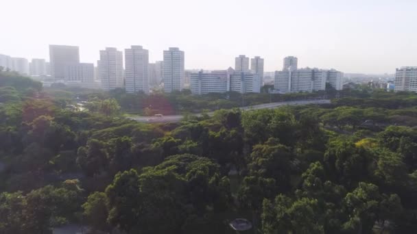 Vue aérienne bosquet d'arbres dans les jardins près de la baie et Marina Bay Sands à Singapour. Fusillade. Vue de dessus du parc à Singapour — Video