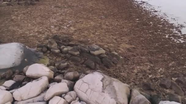 Mar de praia de areia lamacenta. Atingido. Praia em tempo nublado com pedras — Vídeo de Stock