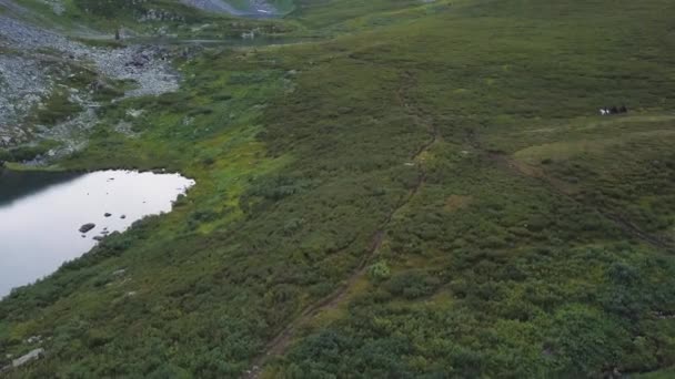 Flygfoto över personer rida hästar på fältet berg. Ridning i bergen, bada i sjön. Hästar går på ett grönt gräs. Flygfoto på ridning på berg sätter med damm — Stockvideo