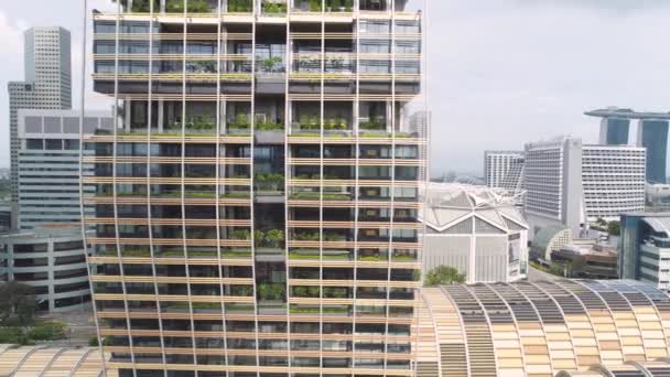 Singapores stadssilhuett. Skott. Ovanifrån av skyskrapan i Singapore. Moderna skyskrapor från Chinatown — Stockvideo