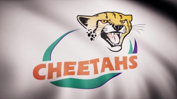 Acenando na bandeira do vento com o símbolo da equipe de Rugby o Cheetahs Central. Conceito desportivo. Apenas para uso editorial — Vídeo de Stock