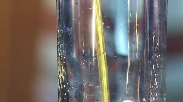 Füllung Kvass in Plastikflasche Nahsicht. Der Mann öffnet den Deckel einer Plastikflasche, die mit Limonade gefüllt ist. kvass, dunkles Bier schäumt — Stockvideo