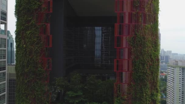 Singapore, juni 2018: Hotels in Singapore met mooie Hotel Oasia close-up. Schot. Een groene toren van het groen in het hart van Singapore s dichte Central Business District — Stockvideo