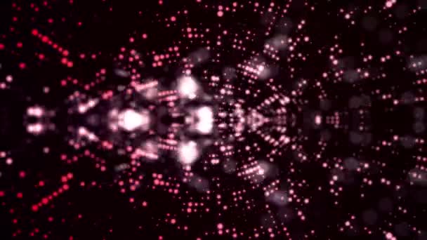 カラフルなボケ背景に点灯します。エレガントなカラフルな抽象。円と星とディスコの背景。ディスコの照明は、植物の葉を照らします。回転魔法とカラフルな波のアニメーション — ストック動画