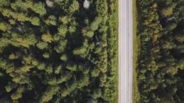 Uçan güzel orman ağaçları ve yol üzerinde. Vurdu. Havadan görünümü. Tepelerde bir yol araç. Hava kamera çekim. Manzara panorama. İki şeritli orman yolu havadan görünümü eski üzerinde uçan yamalı