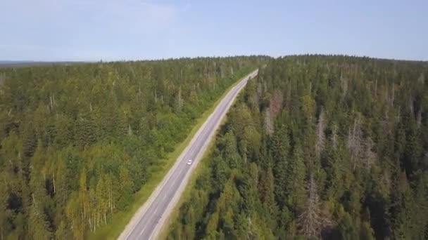 Vue aérienne d'en haut de la route de campagne à travers la forêt verte d'été en été. Fusillade. Voiture. Vue en angle élevé d'une route traversant la forêt au coucher du soleil avec espace de copie. Vue du dessus de la route asphaltée 