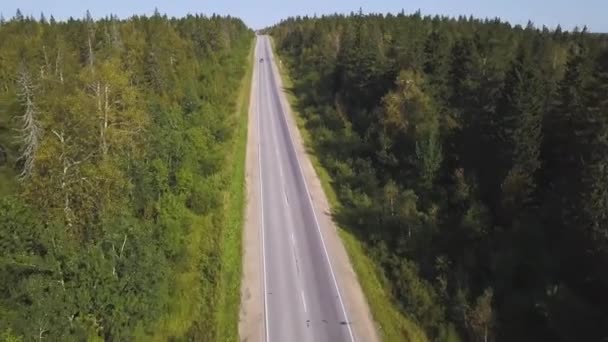 Vue aérienne d'en haut de la route de campagne à travers la forêt verte d'été en été. Fusillade. Voiture. Vue en angle élevé d'une route traversant la forêt au coucher du soleil avec espace de copie. Vue du dessus de la route asphaltée 