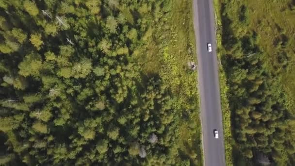 มุมมองทางอากาศจากด้านบนของถนนชนบทผ่านป่าฤดูร้อนสีเขียวในฤดูร้อน ถูกยิง ขับรถ มุมมองสูงของถนนรางป่าที่พระอาทิตย์ตกดินที่มีพื้นที่สําเนา ท็อปวิวถนนยางมะตอย — วีดีโอสต็อก