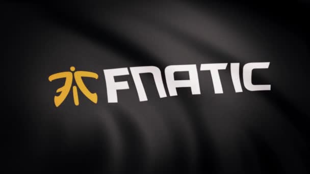 Мультипликация размахивает флагом символа профессиональной киберспортивной команды Fnatic. Киберспортивная команда мирового класса. Только редакционное использование — стоковое видео