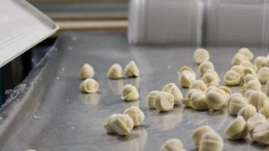 Tablo için sadece bitmiş köfte sinek--dan tepsi. Köfte yavaş uçan. Yavaş çekimde bir köfte, kaynar. Et köfte bir kapsayıcıda bulunan bir tepsi düştü olmak