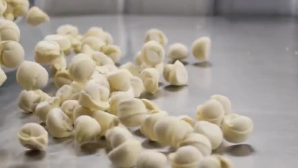 Gli gnocchi di carne vengono lasciati cadere in un vassoio che si trova in un contenitore e viene successivamente rimosso. Gnocchi pronti per la caduta con carne — Video Stock