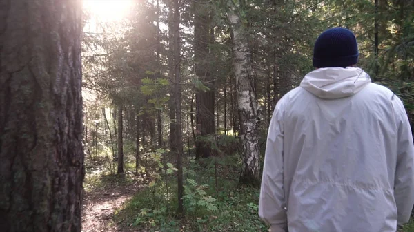 Jovem em viagem de acampamento. Conceito de liberdade e natureza. Vista do homem de volta andando na floresta ao longo do caminho no dia ensolarado de outono — Fotografia de Stock