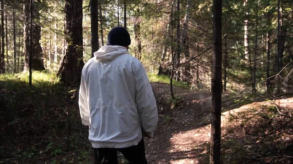 Hombre caminando por el camino del bosque. Filmación. Vista trasera del hombre solo. Concepto de recreación activa en la naturaleza — Foto de Stock