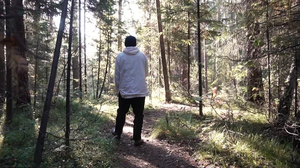 Joven hombre solitario caminando profundamente en el bosque entre densa vegetación y arbustos. Filmación. Vista del hombre desde atrás caminando por el sendero del bosque. Concepto de actividades al aire libre solo — Foto de Stock