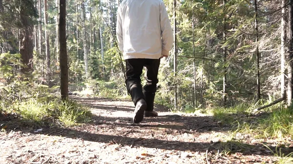 Hombre vestido con cortavientos y pantalones para el clima fresco. Filmación. El viajero camina por la zona boscosa al aire libre — Foto de Stock