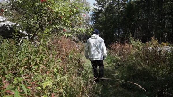 Joven hombre solitario caminando profundamente en el bosque entre densa vegetación y arbustos. Filmación. Vista del hombre desde atrás caminando por el sendero del bosque. Concepto de actividades al aire libre solo — Foto de Stock