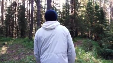 Genç adam kamp gezisinde. Görüntüleri. Özgürlük ve doğa kavramı. Adam ormanda yol boyunca güneşli sonbahar gününde yürüyüş arkadan görünümü
